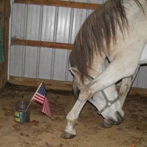 Meet your Posher, Jayne